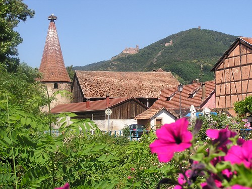Ribeauvillé et ses Trois Châteaux : Un Voyage Médiéval près de Riquewihr